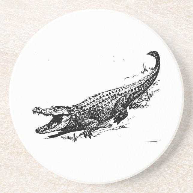 Alligator Sandstone Coaster (Front)