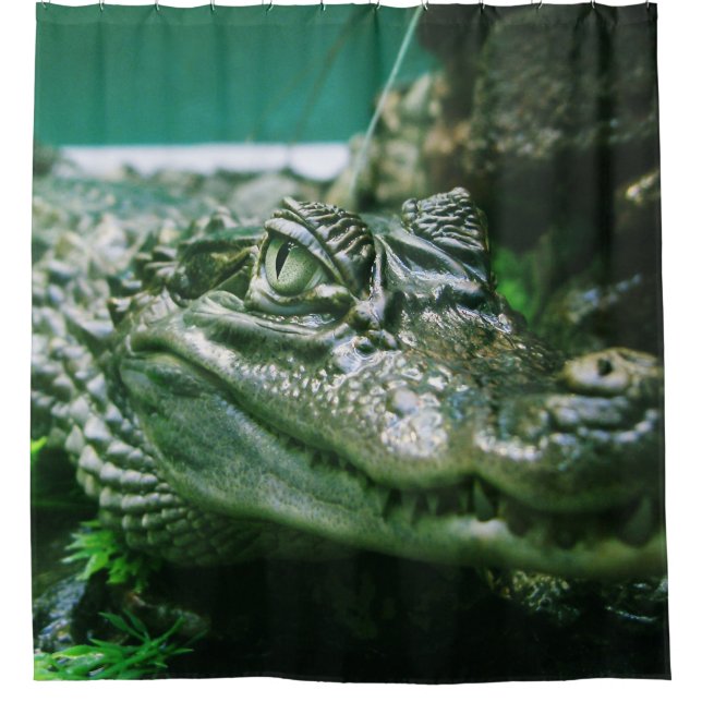 Alligator Shower Curtain (Front)