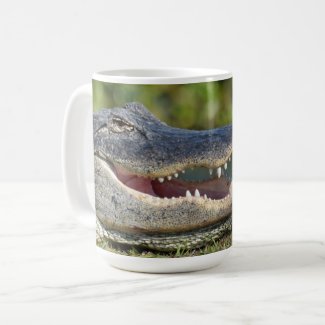 Alligator Smiling Grinning Gator Photographic