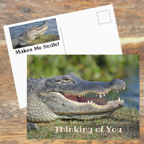 Alligator Smiling Thinking of You Postcard