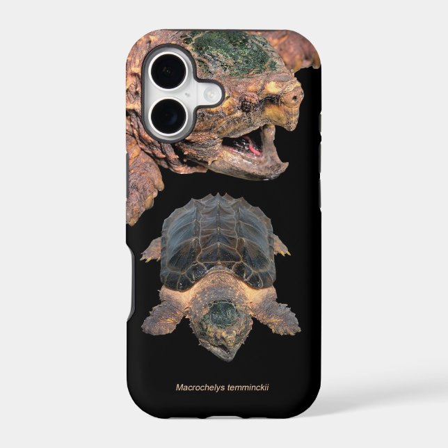 Alligator snapping turtle iPhone Case,No.2 Case (Back)