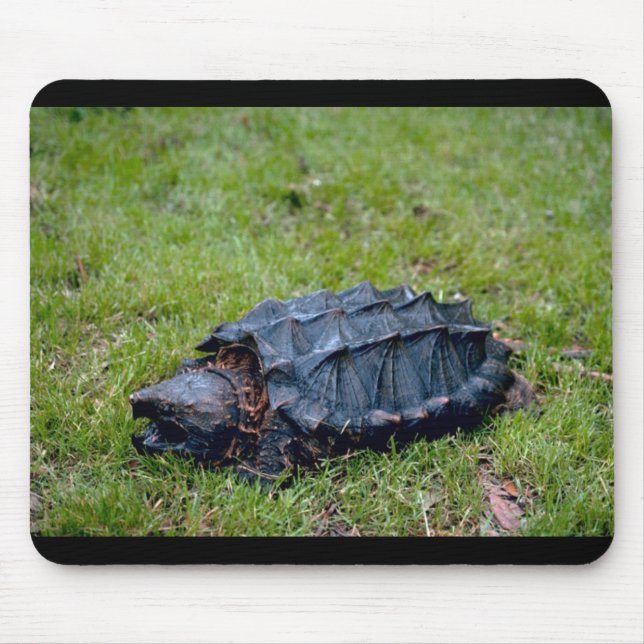 Alligator Snapping Turtle Mouse Pad (Front)