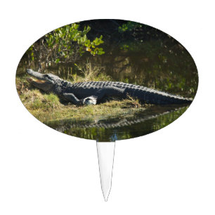Alligator Sunning on a Florida Swamp Marsh Bank Cake Topper