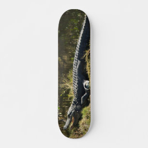 Alligator Sunning on Marsh Bank Skateboard Deck