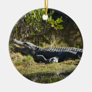 Alligator Sunning on Swamp Bank Ceramic Ornament