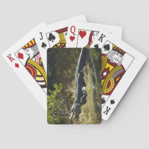 Alligator Sunning on Wetland Marsh Bank Poker Cards