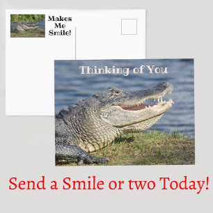 Alligator Thinking of You Makes Me Smile Postcard