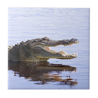 Alligator Tile