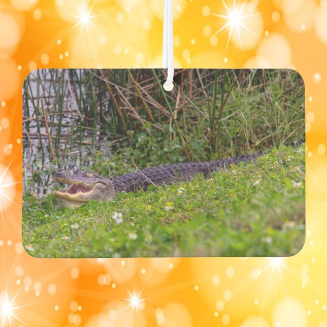 Alligator Viera Wetlands Florida Photo Air Freshener (An air freshener with a photograph of an alligator relaxing in the grass in Florida.)
