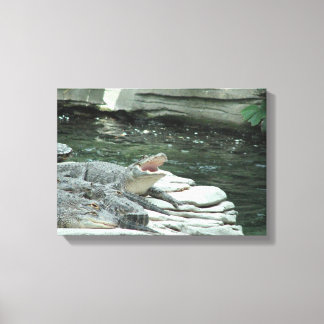 Alligator wrapped canvas print