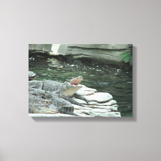 Alligator wrapped canvas print (Front)