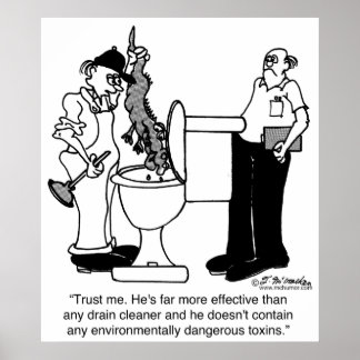 Alligators as Drain Cleaners Poster