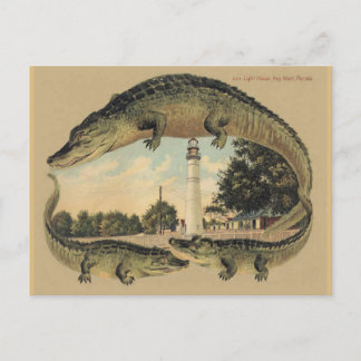 Alligators, Key West, FL Postcard