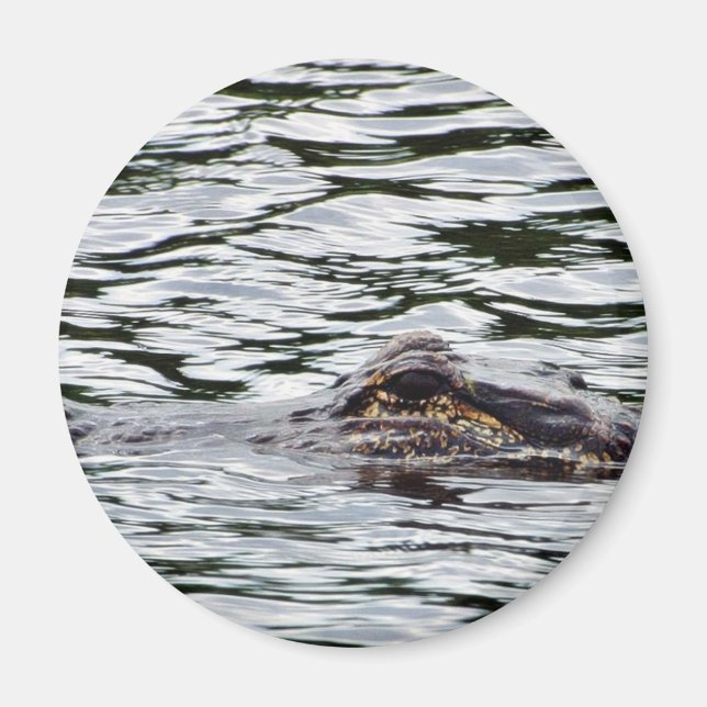Alligators Magnet (Front)