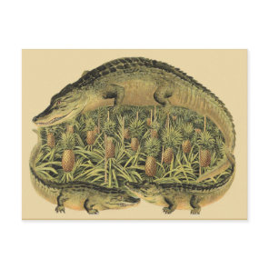 Alligators, Pineapples, Postcard
