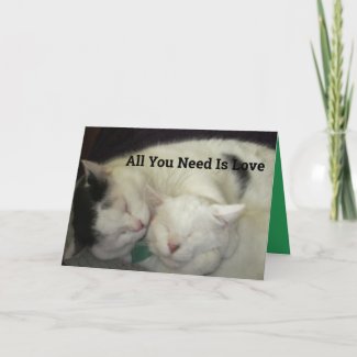 Allis & Abbie All You Need Is Love Greeting Card