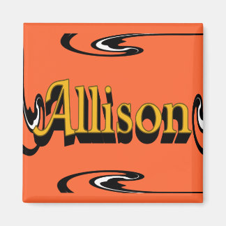 Allison Magnet
