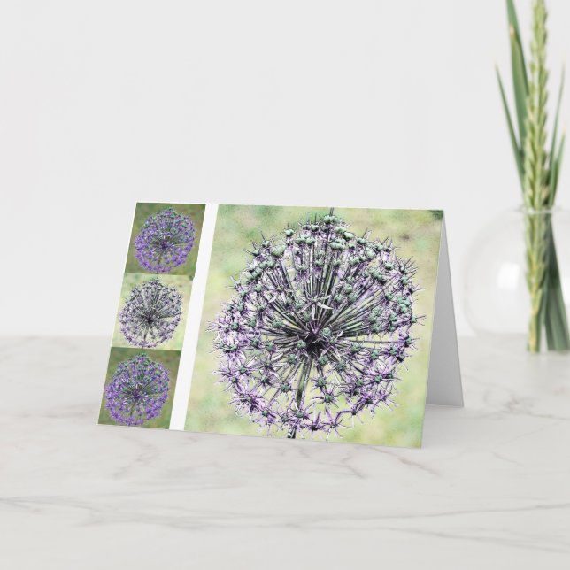 Allium Card (Front)