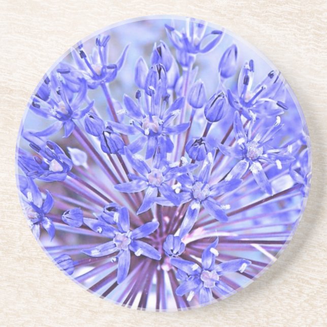 Allium Flower Blue Coaster (Front)