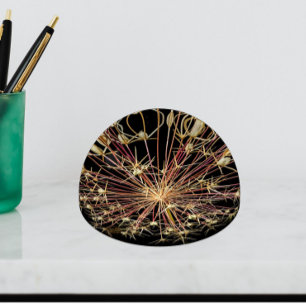 Allium Flower Seedhead Floral Paperweight