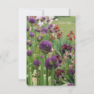 Allium & Iris Flower Bed Note Card