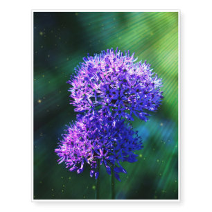 Allium Temporary Tattoos