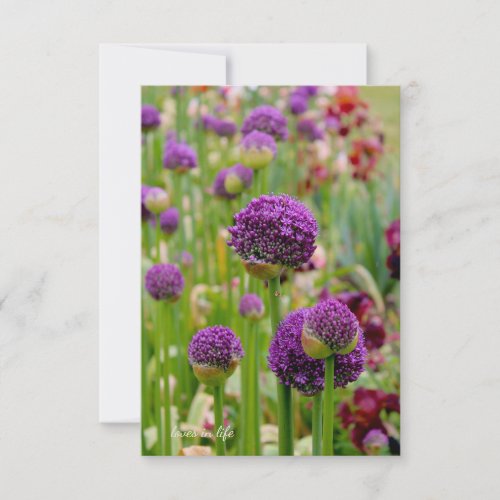 Alliums Note Card