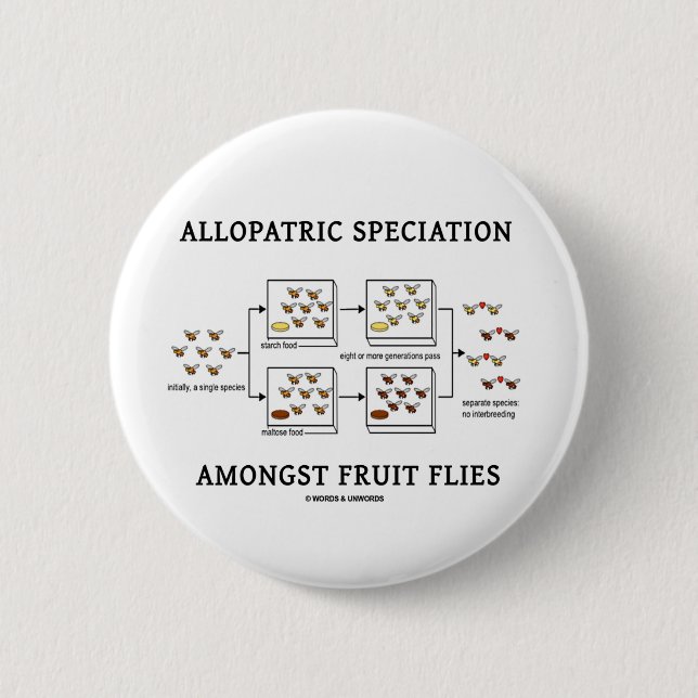 Allopatric Speciation Amongst Fruit Flies Pinback Button (Front)