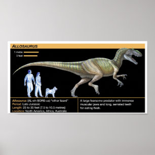 Allosaurus - Biology Jurassic Poster