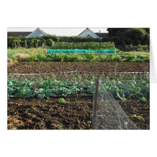 Allotment Cards