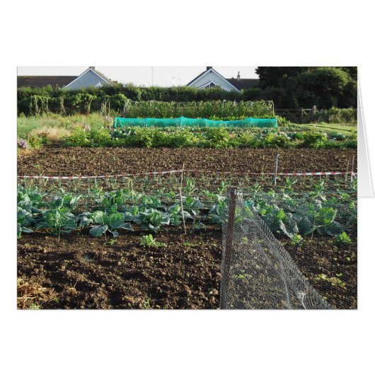 Allotment Cards (Front Horizontal)