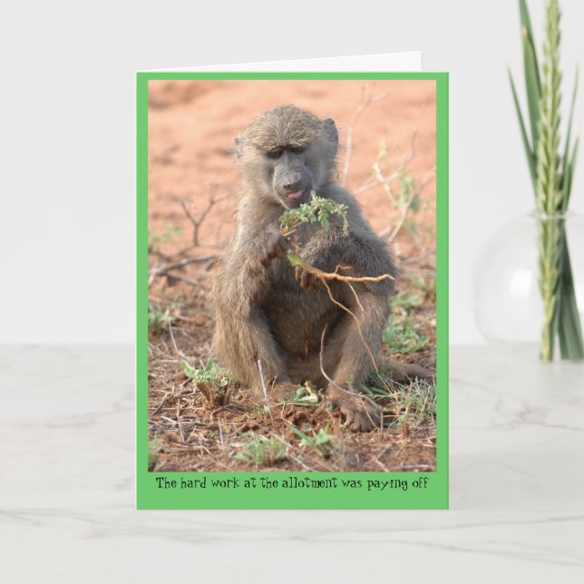 Allotment Greeting Card (Front)