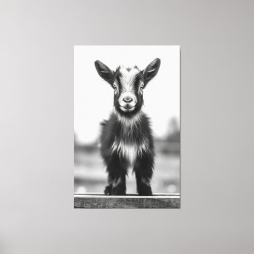 Alluring Monochromatic Graceful Baby Goat Portrait Canvas Print