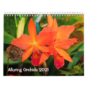 Alluring Orchids 2021 Calendar
