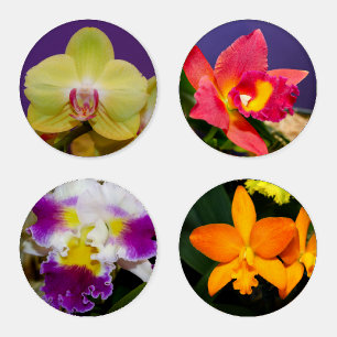 Alluring Orchids 4 Acrylic Coaster Set