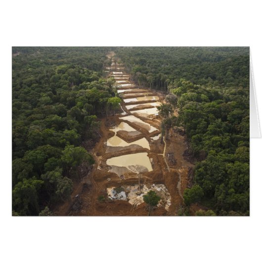 Alluvial Gold Mining. Rainforest, Guyana. Cards (Front Horizontal)