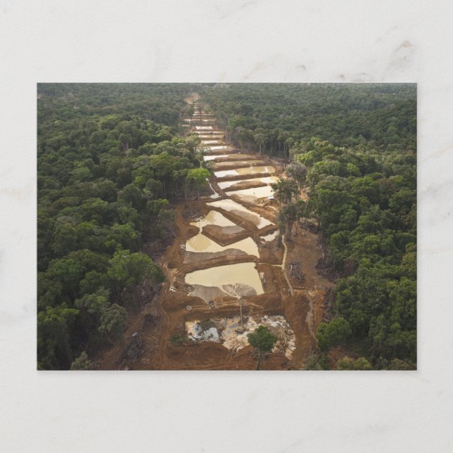 Alluvial Gold Mining. Rainforest, Guyana. Postcard (Front)