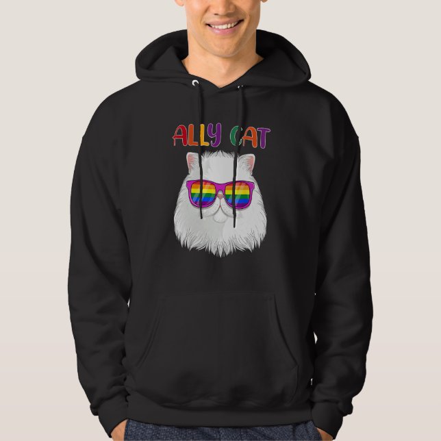 Ally Cat LGBT Gay Rainbow Pride Flag  Cat  3 Hoodie (Front)
