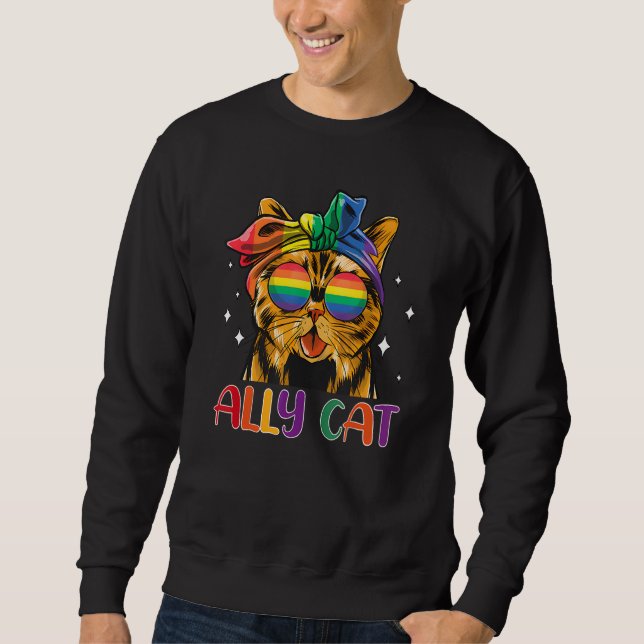Ally Cat LGBT Gay Rainbow Pride Flag Funny Cat Lov Sweatshirt (Front)