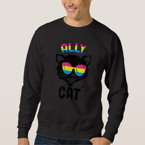 Ally Cat Pansexual Sunglasses Flag Lgbtq Pansexual Sweatshirt