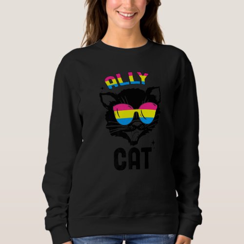 Ally Cat Pansexual Sunglasses Flag Lgbtq Pansexual Sweatshirt