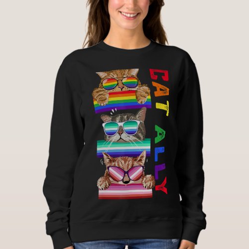 Ally Cats Cute Lgbt Gay Rainbow Pride Flag Boys Me Sweatshirt