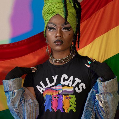 Ally Cats LGBT Equality Support T_Shirt