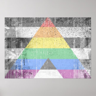 ALLY FLAG DISTRESSED -.png Poster
