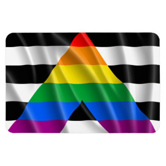 ALLY FLAG FLYING -.png Magnet