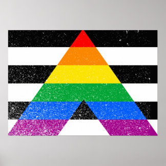 ALLY FLAG ORIGINAL -.png Poster