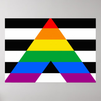 ALLY FLAG ORIGINAL -.png Poster