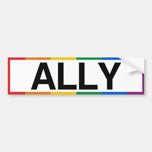 ALLY - .png Bumper Sticker (Front)