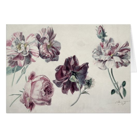 Alma-Tadema | Roses Cards (Front Horizontal)