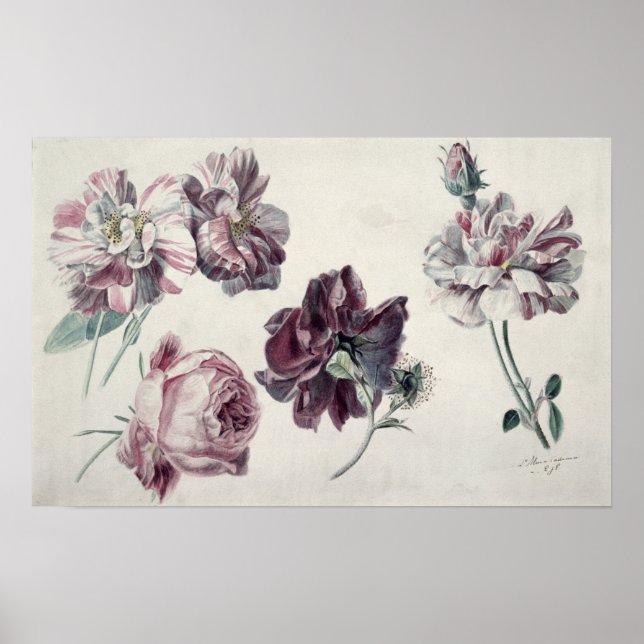 Alma-Tadema | Roses Poster (Front)